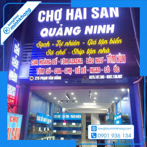 Quảng cáo FMCG hiệu quả: Kotex, Uniqlo, chiến lược phân khúc thị trường
